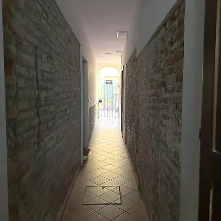 A Con Il Tuo Amico A Quattro Zampe