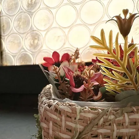 Apartmán A Con Il Tuo Amico A Quattro Zampe Ferrara