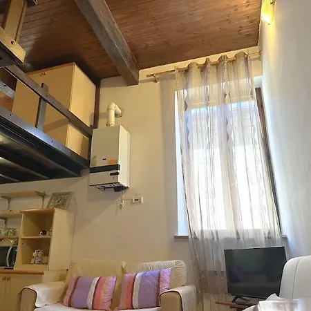 A Con Il Tuo Amico A Quattro Zampe Ferrara