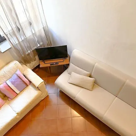 A Con Il Tuo Amico A Quattro Zampe *