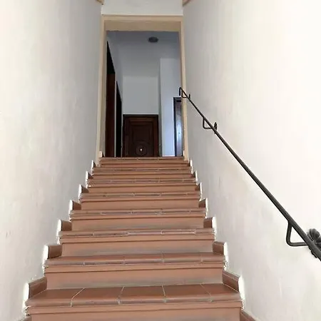 Apartamento A Con Il Tuo Amico A Quattro Zampe
