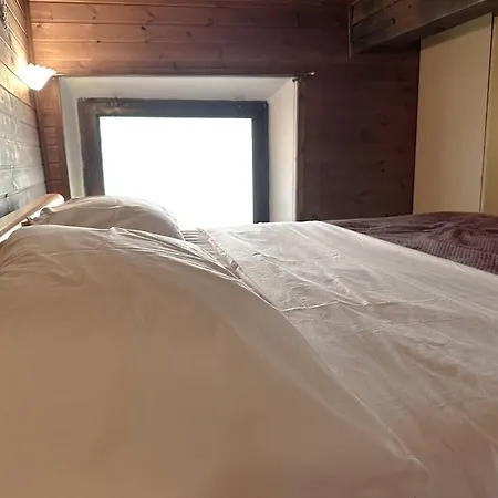 A Con Il Tuo Amico A Quattro Zampe Apartamento Ferrara