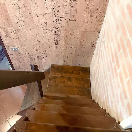A Con Il Tuo Amico A Quattro Zampe Apartamento Ferrara