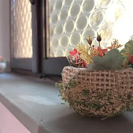 A Con Il Tuo Amico A Quattro Zampe *