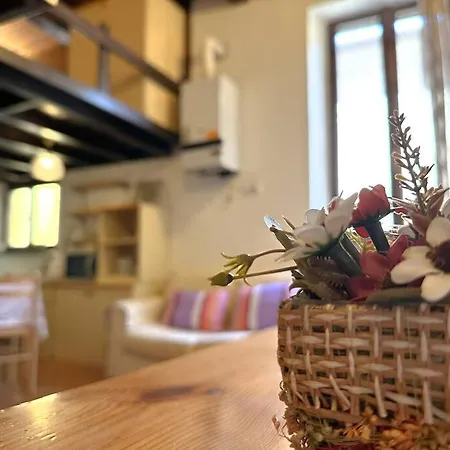 Apartamento A Con Il Tuo Amico A Quattro Zampe Ferrara