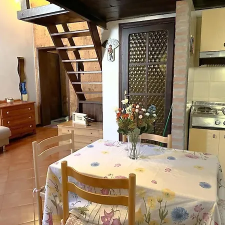 Apartmán A Con Il Tuo Amico A Quattro Zampe Ferrara