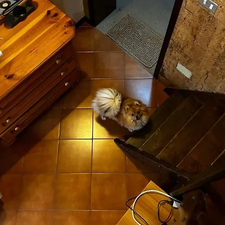 Apartamento A Con Il Tuo Amico A Quattro Zampe
