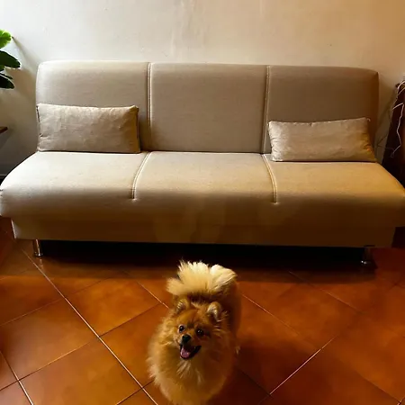 A Con Il Tuo Amico A Quattro Zampe *